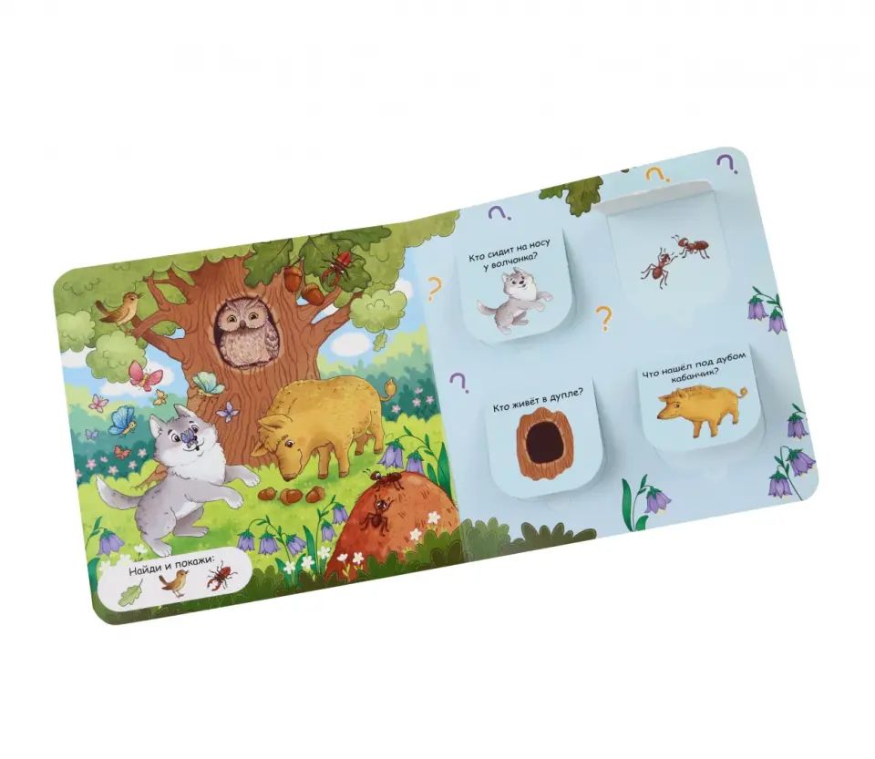 Открой окошки. В лесу /Маврина