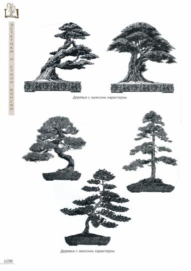 Бонсай. Маленькие деревья для большой радости