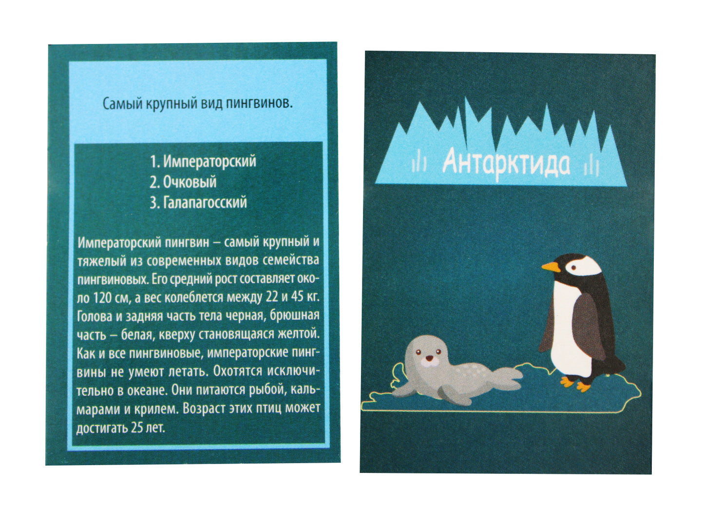 Игра настольная. Викторина для всей семьи "Мир"