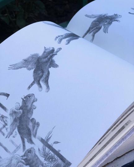 Потерялся кот