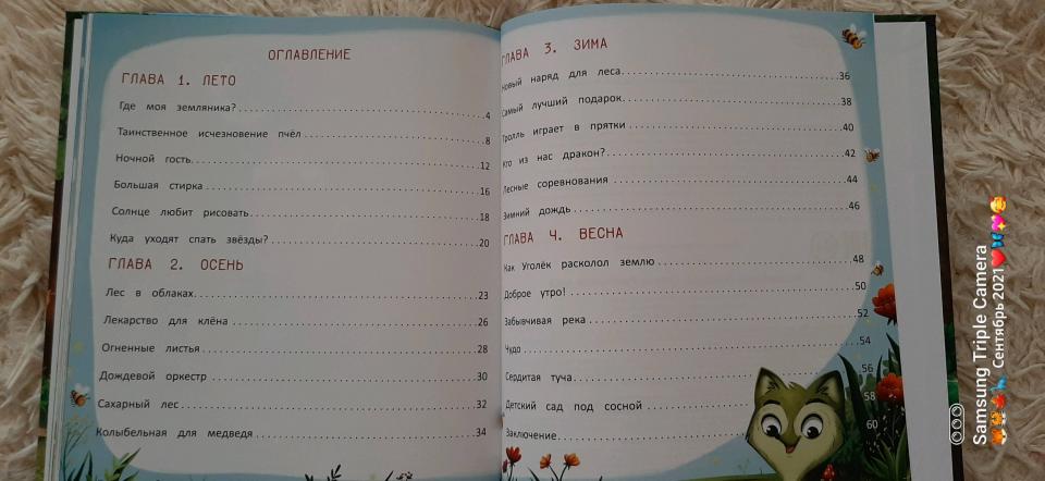 Волшебница Природа: сказки Туманного леса