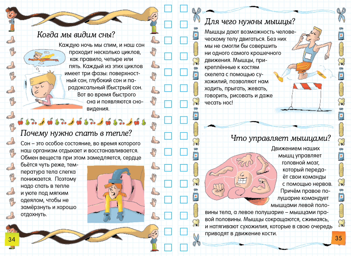 Тело человека
