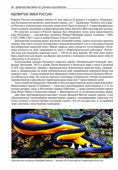 Летучие мыши: Происхождения, места обитания, тайны образа жизни. 2-е изд., доп.и перераб