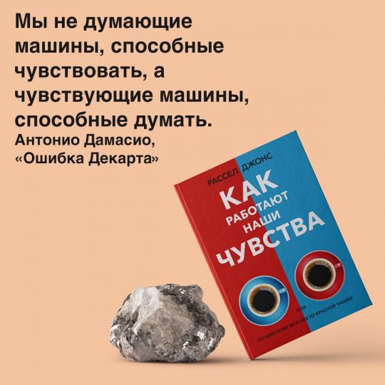 Как работают наши чувства