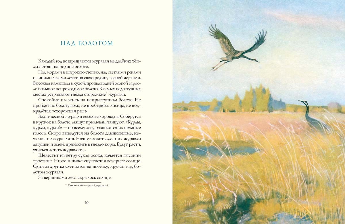 Весна в лесу. Соколов-Микитов И.С.
