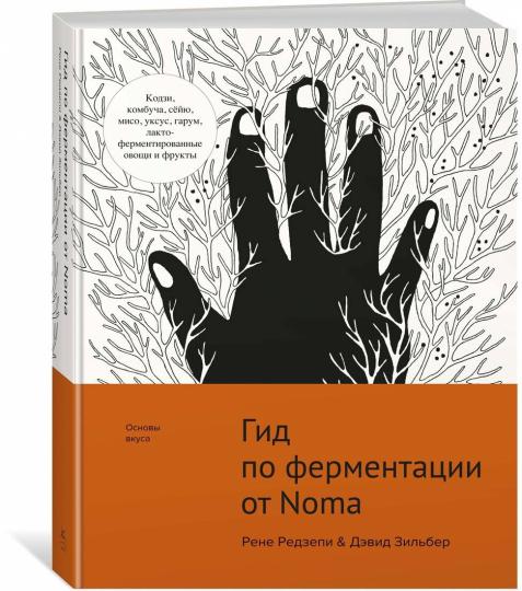 Гид поферментации от Noma