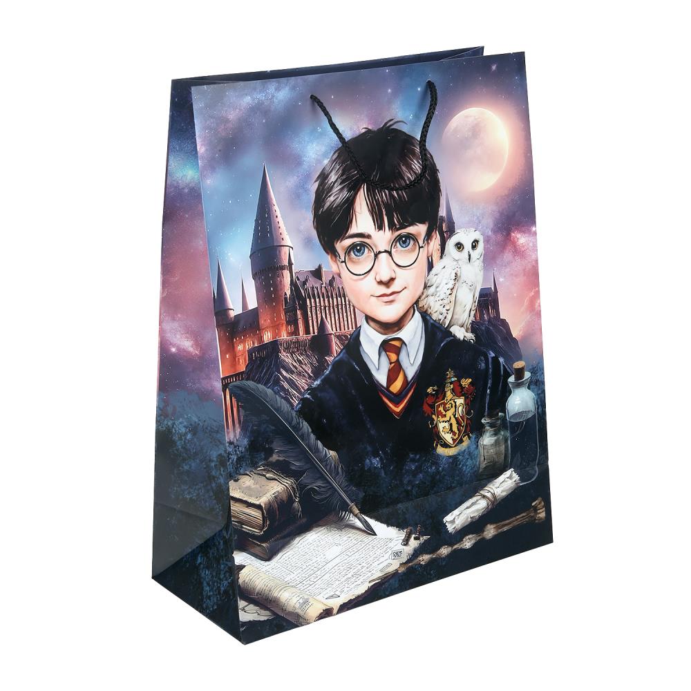 Пакет подарочный МАТОВЫЙ xl,школа волшебства,140 гр/м2 ЧУДО ПРАЗДНИК в кор.5*12шт