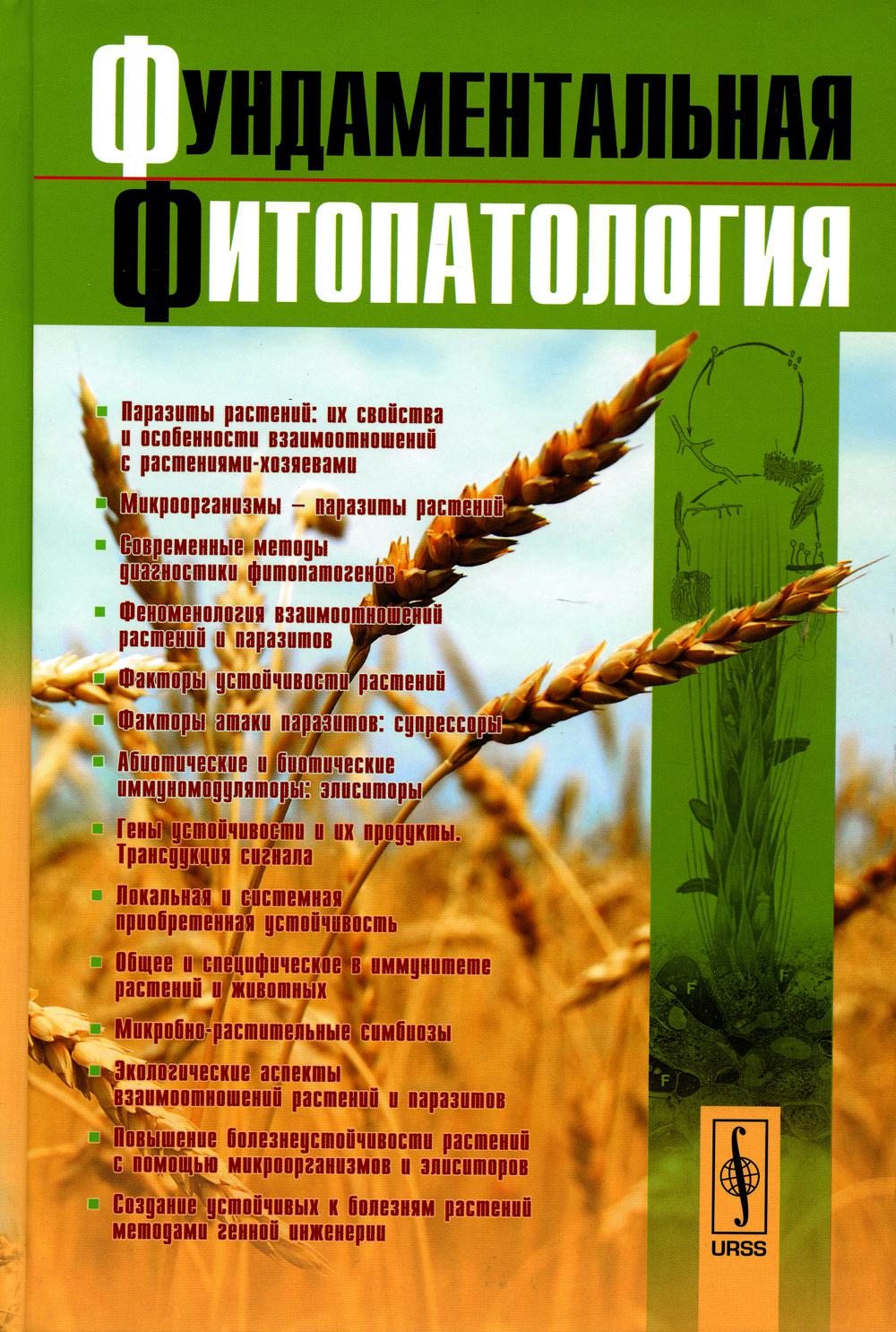 Античная философская теология