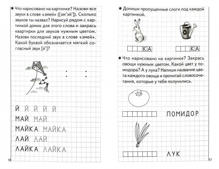 Тетрадь Развиваем навыки чтения и грамотного письма 2ч. 5-6лет