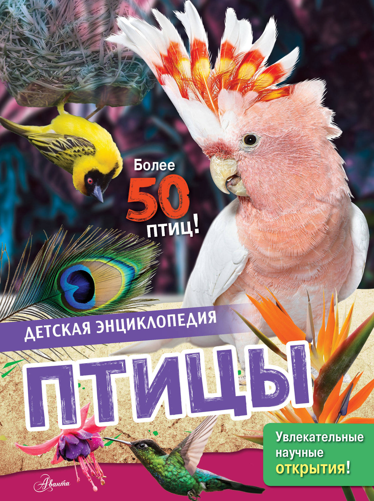 Птицы
