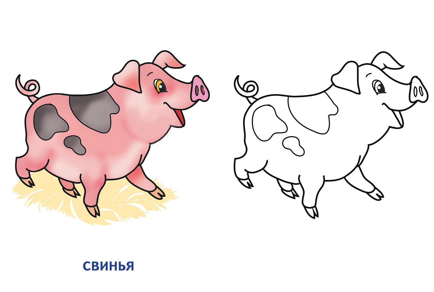 Раскраска. Домашние животные. 2-4 года.