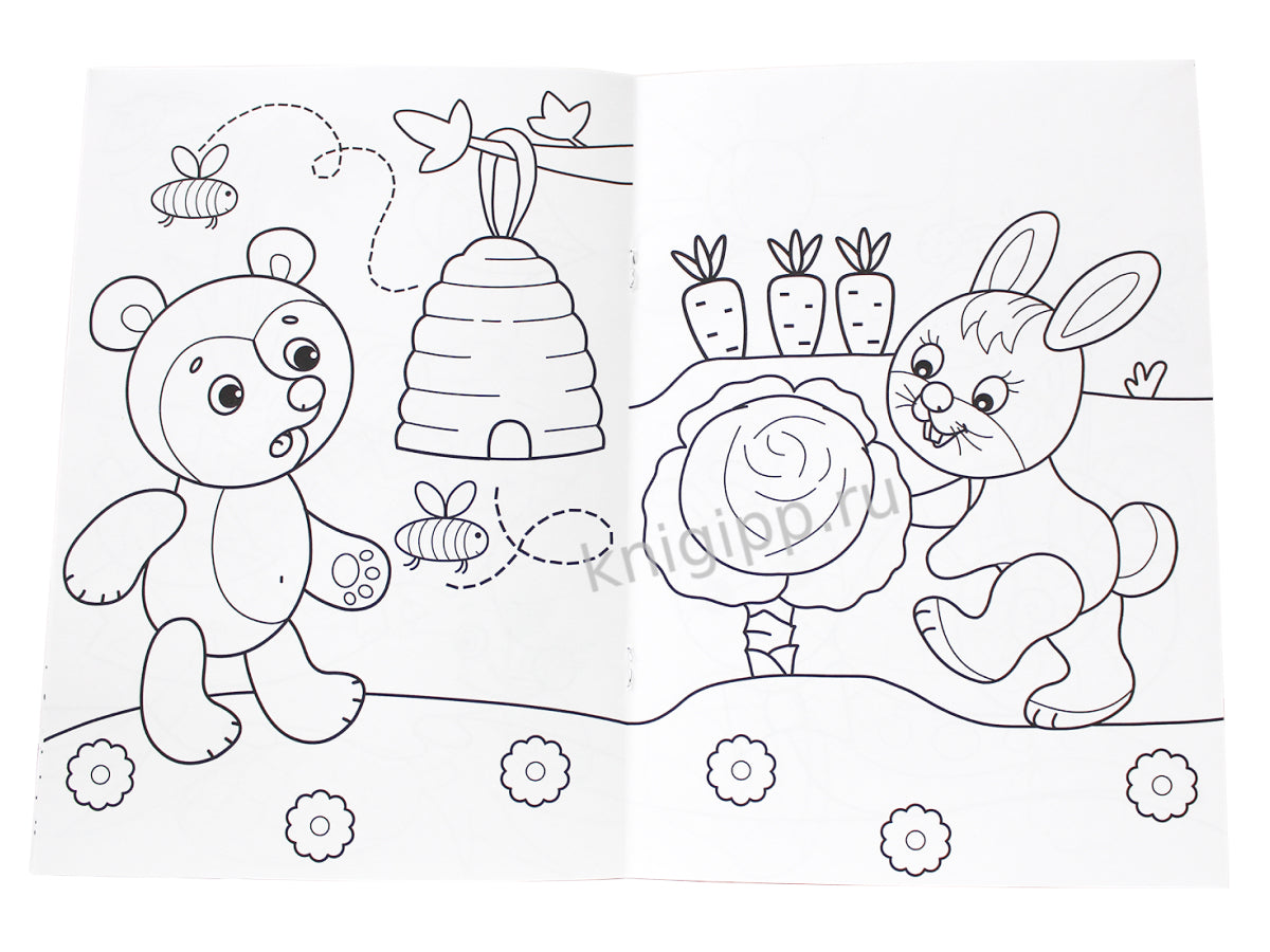 РАСКРАСКА А4 эконом. МОИ КАРТИНКИ