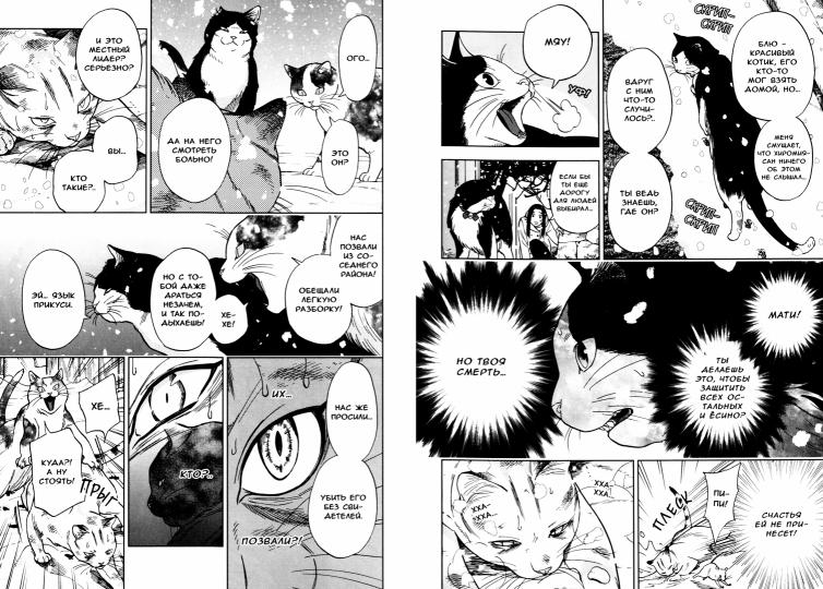 Жизнь бродячего кота. Т. 3: манга