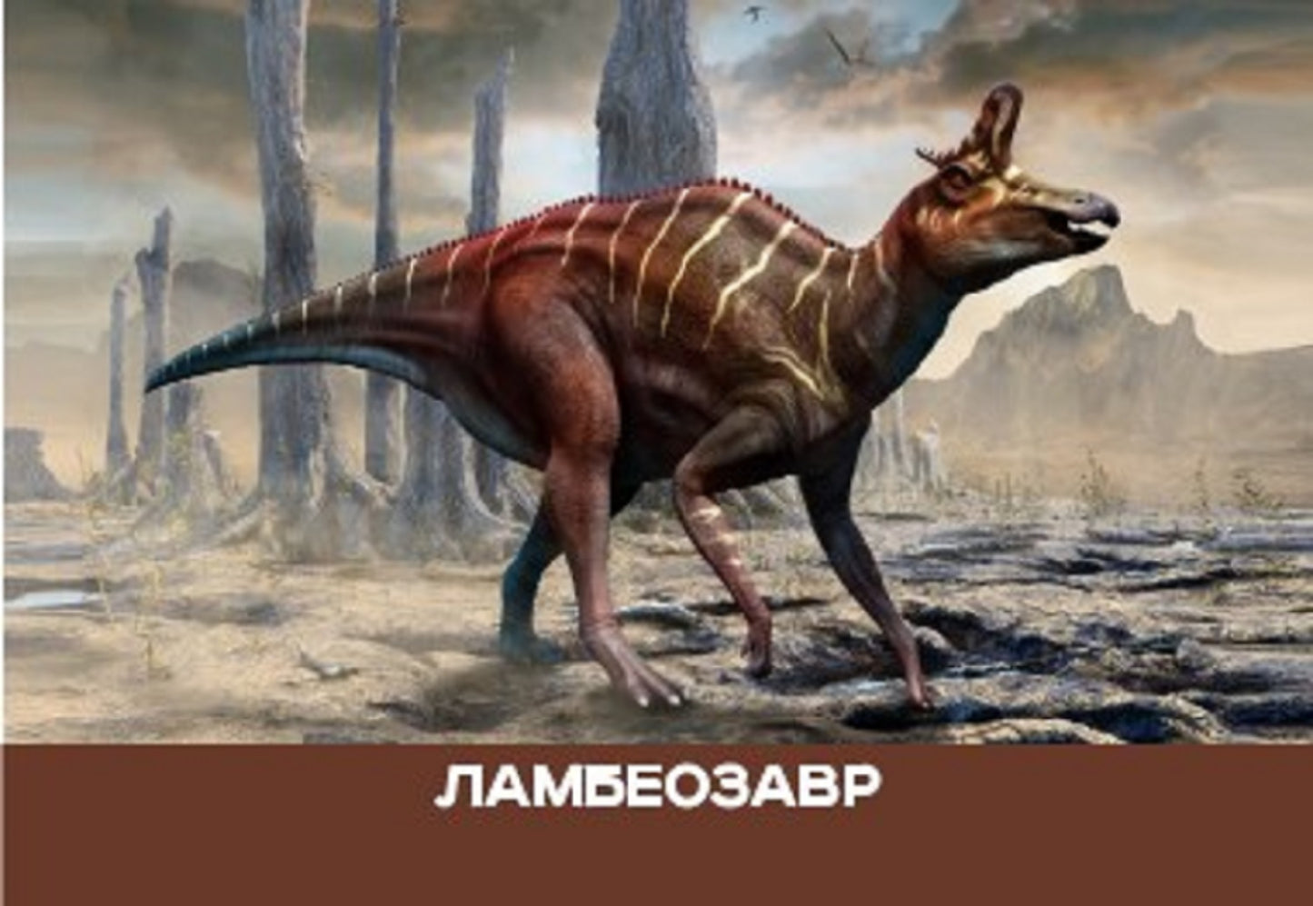 Игра настольная "МЕМО" Динозавры. Серия АКТИВ time