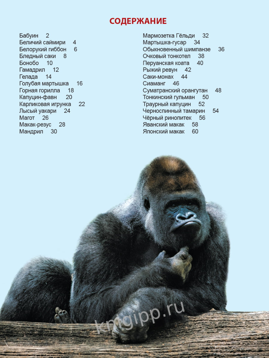 ЭНЦИКЛОПЕДИЯ ДЛЯ ДЕТЕЙ новые. ОБЕЗЬЯНЫ