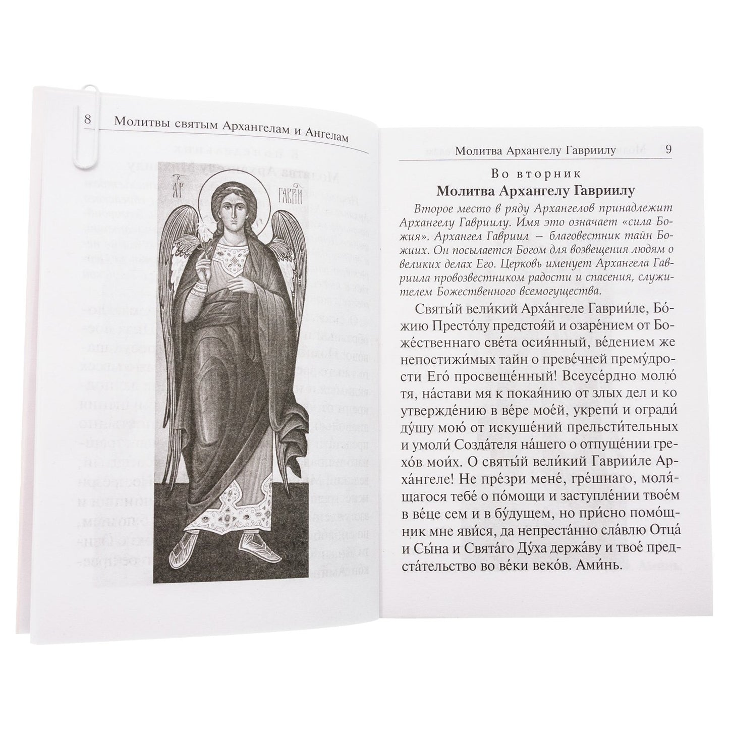 Под покровом ангельских Сил. Молитвы святым Архангелам и Ангелам