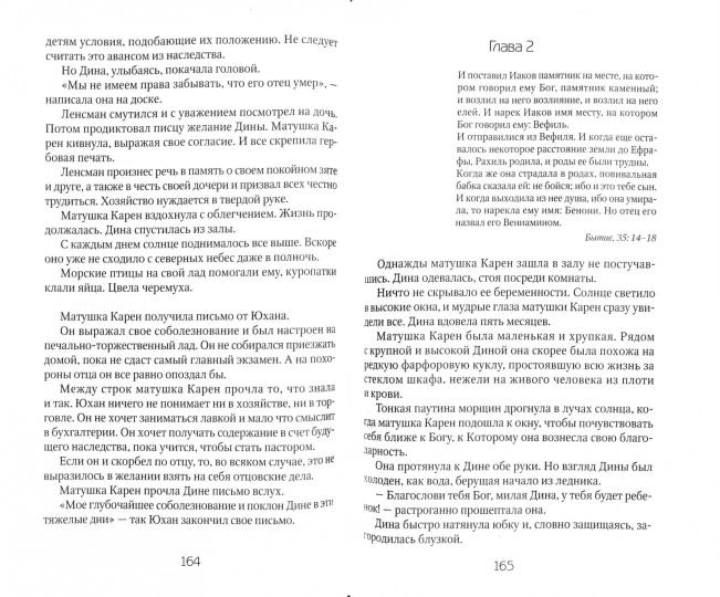 Книга Дины: роман. Вассму Х.