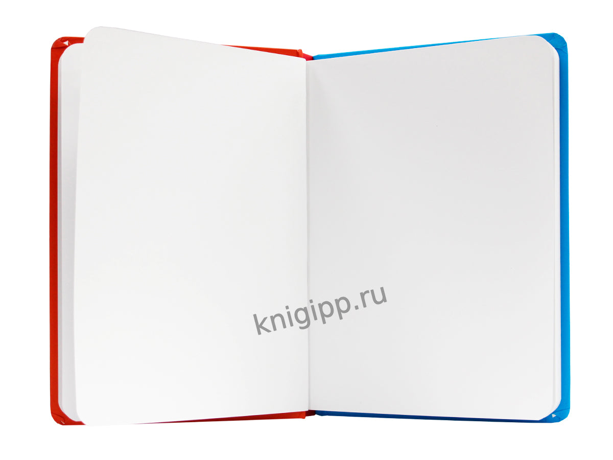 MyArt. СКЕТЧБУК "В ТРЕНДЕ" КАПИДЗИЛЛА И ГУСЬ-КОНГ