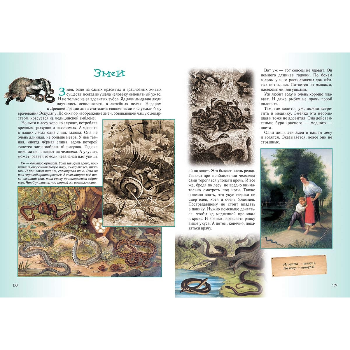 Прогулки по лесу. - 2-е изд.