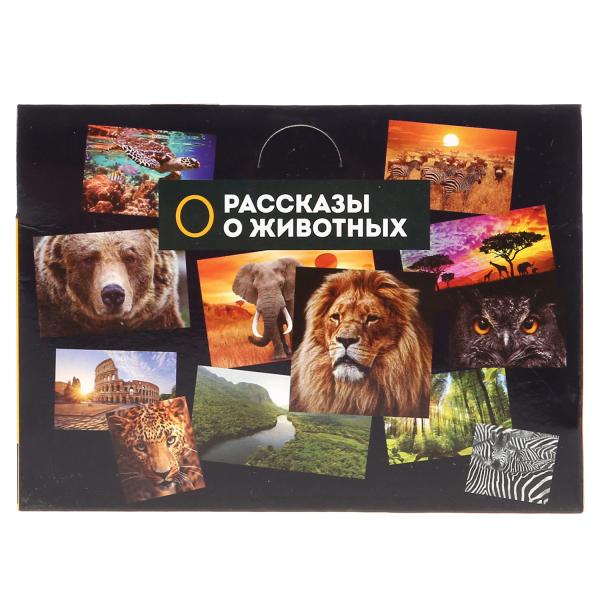 Игрушка пластизоль Играем Вместе Динозавр Велоцираптор 11*4.5*8см, индив. световой бокс в кор.2*72шт