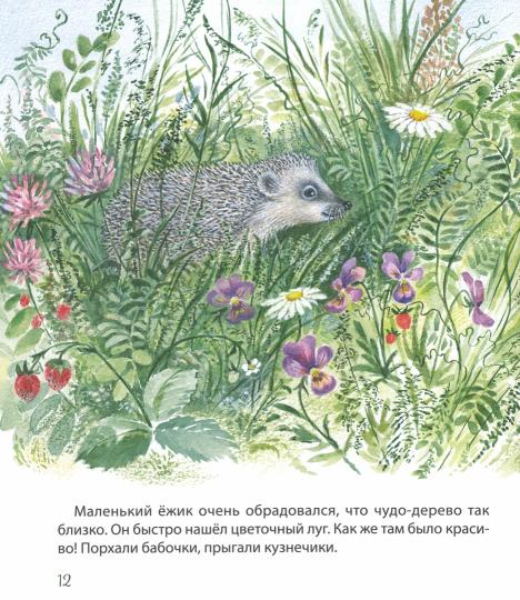 Самый маленький ежик