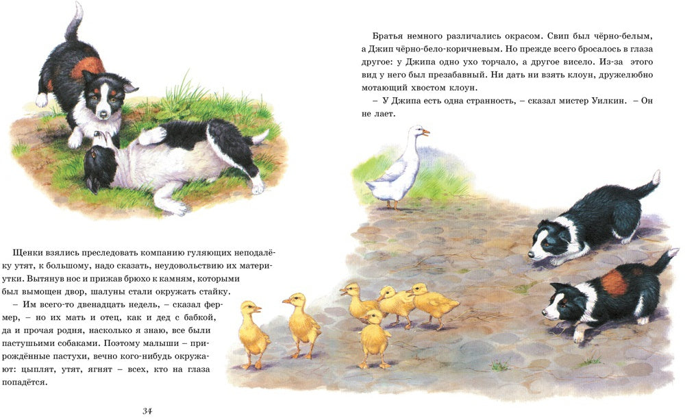 Детям. Рассказы о животных. От автора книги "О всех созданиях - больших и малых"