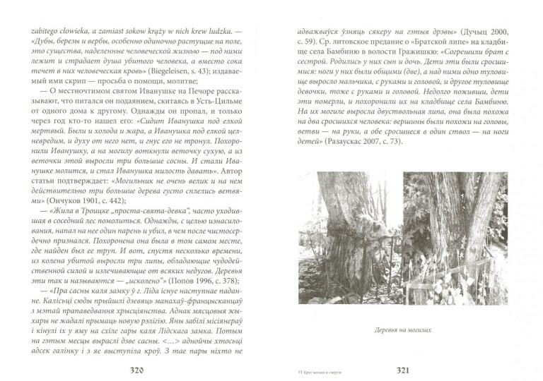 Круг жизни и смерти. Учение о переселении душ в культурах народов мира и славянской традиции