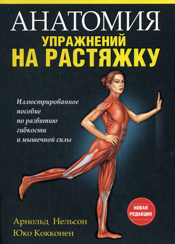 Анатомия упражнений на растяжку