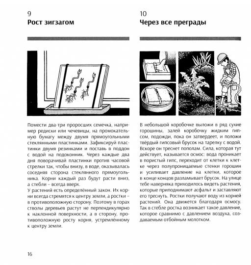 Занимательная наука. Более 400 экспериментов и наблюдений за природой /