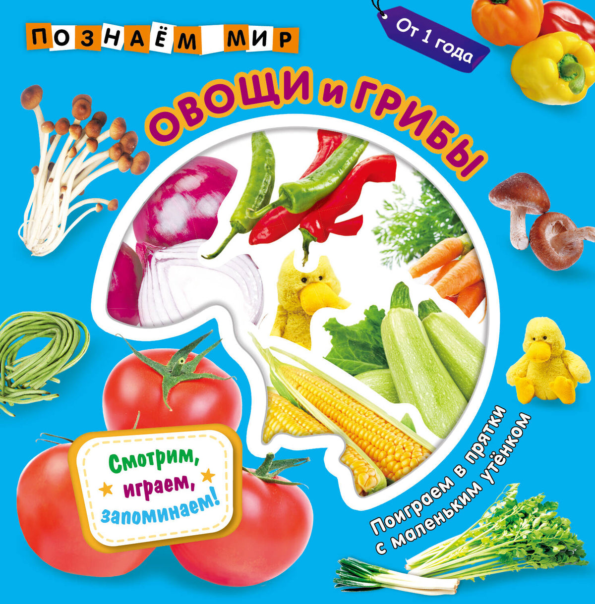 Овощи и грибы. Познаем мир