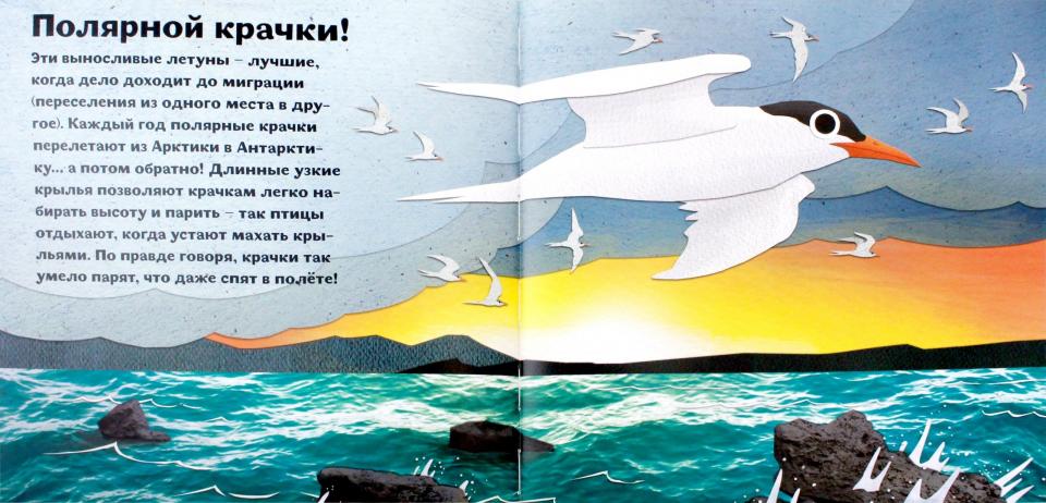 Птицы и букашки:от носа до хвоста. Букашки от носа до хвоста. Птицы от клюква до хвоста