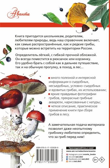 Грибы России. Определитель