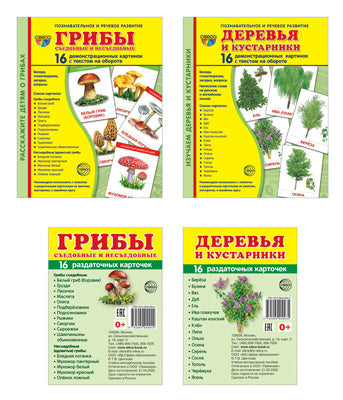 *Комплект. Дем. картинки СУПЕР Деревья, грибы (2 формата: 173х220 и 63х87)