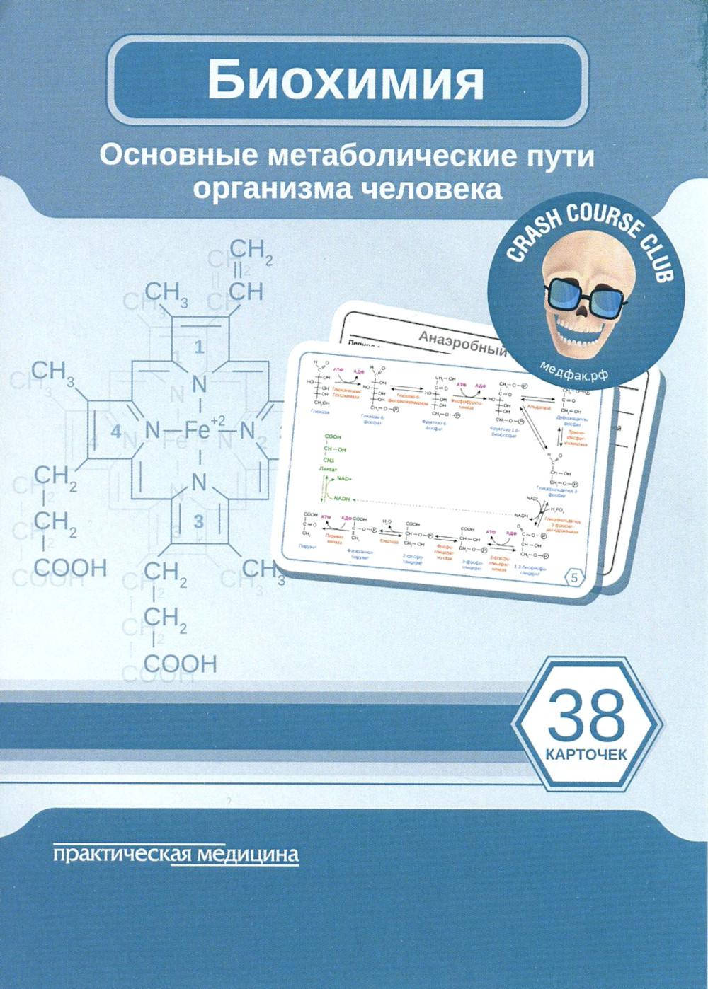 Biochimie. КАРТОЧКИ. Основные метаболические пути организма человека (38 шт.)