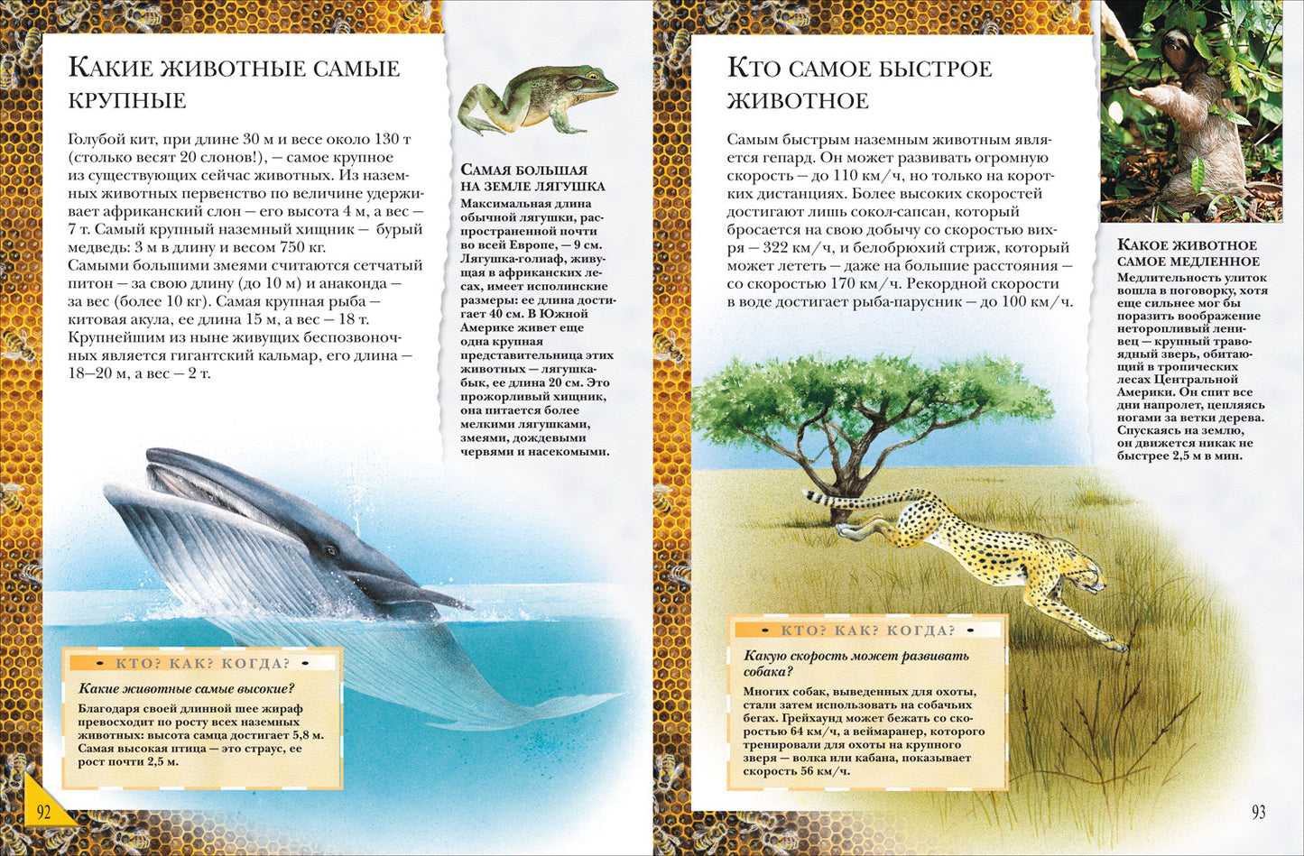 Большая энциклопедия школьника. Книга вопросов и ответов