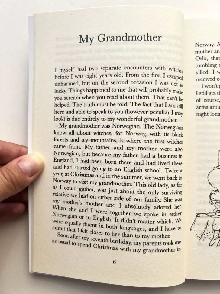 The Witches (Ведьмы)