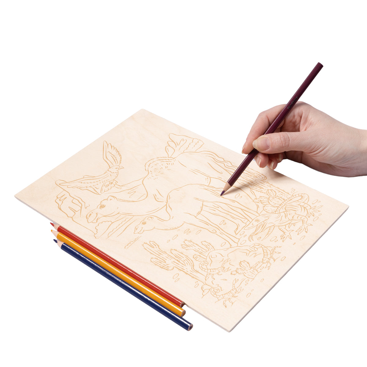 Выжигание. Доска для выжигания 1 шт "Пустынный край" А4 (европодвес)