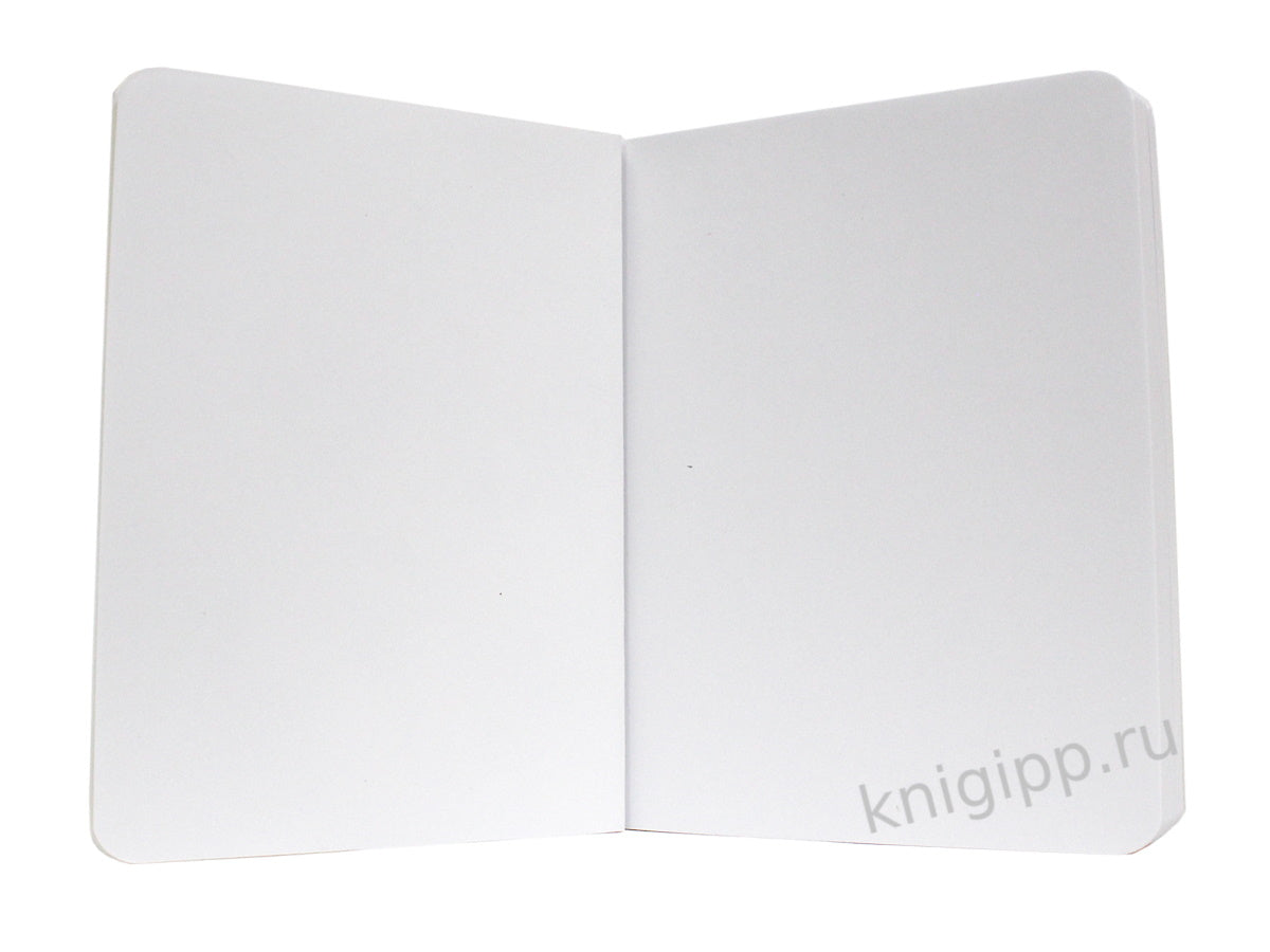 MyArt. MeowBook СКЕТЧБУК. Котик в шапке