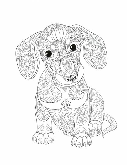 Dogs. Творческая раскраска симпатичных собачек