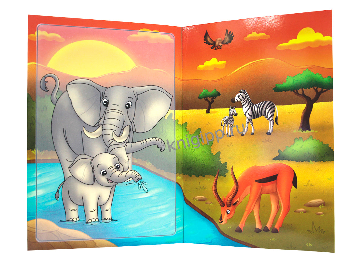 МНОГОРАЗОВАЯ ВОДНАЯ РАСКРАСКА С ЧЁРНЫМ КОНТУРОМ. ДИКИЕ ЖИВОТНЫЕ