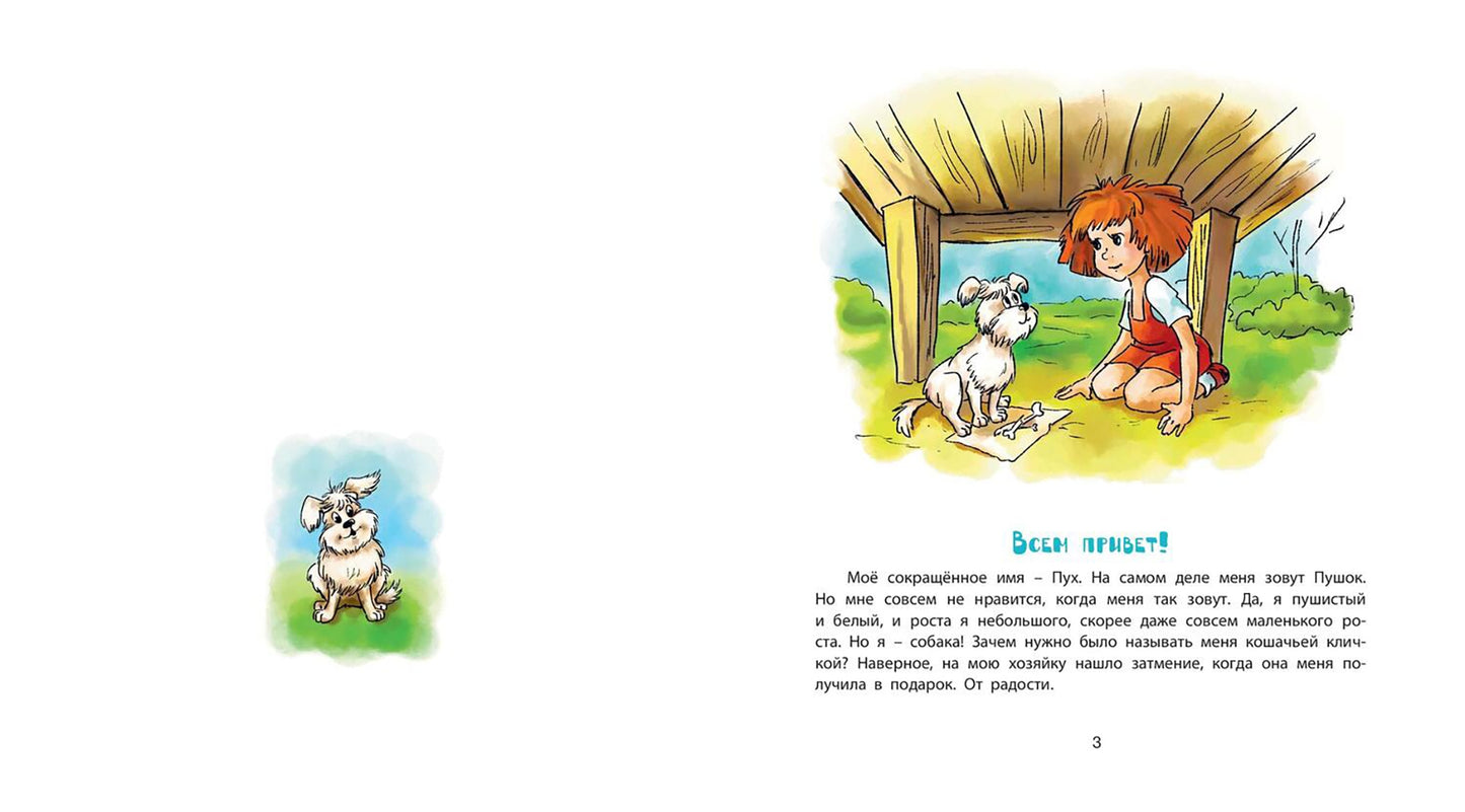 Пух, летающая собака (ожидается поступление)