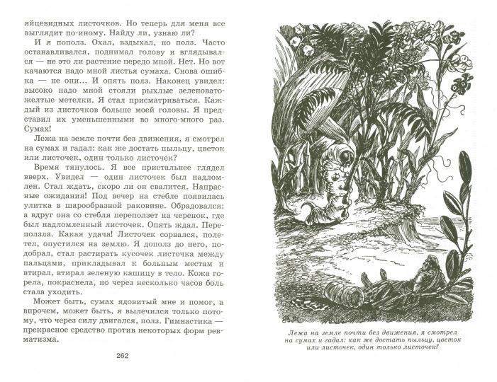 В стране дремучих трав