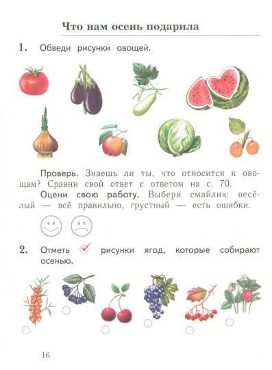 *Окружающий мир. Тетрадь для проверочных работ. 1 кл. Рабочая тетрадь №1. Изд.1