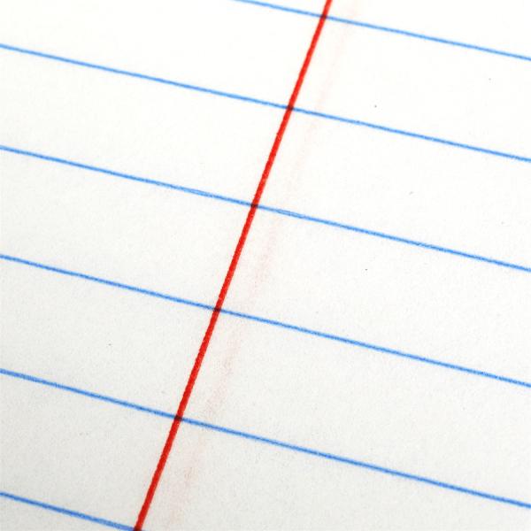 Тетрадь, 24 листа, линейка, диз 1, TIK TOK GIRL в кор.160шт