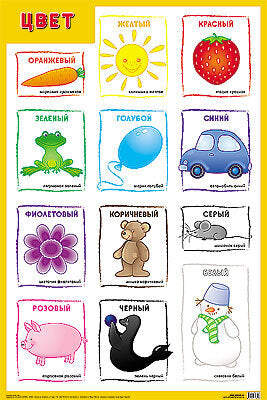 Развивающие плакаты. Цвет