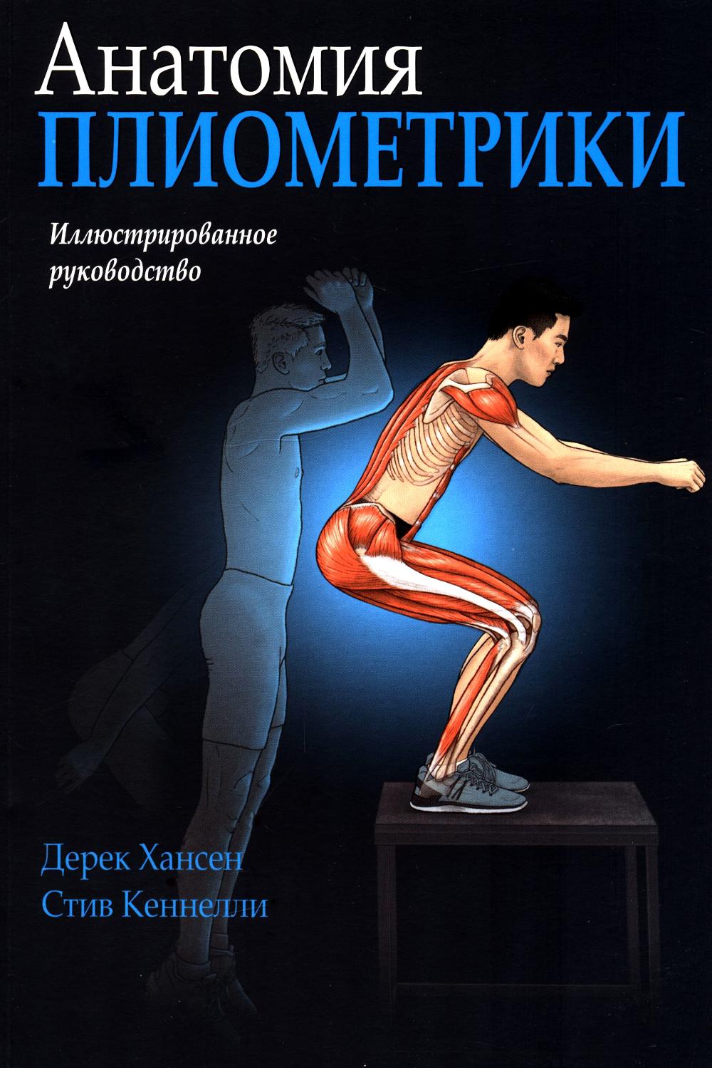 Анатомия плиометрики