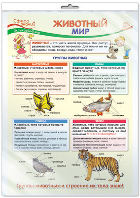 *ПО-13407 ПЛАКАТ А3 В ПАКЕТЕ. Животный мир. Окружающий мир в начальной школе (в индивидуальной упаковке с европодвесом и клеевым клапаном)