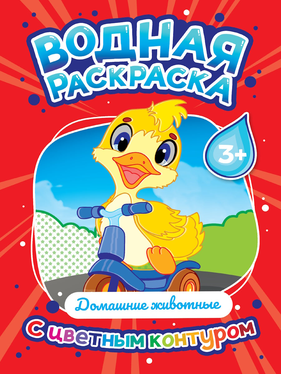 ВОДНАЯ РАСКРАСКА с цветным контуром. Maison de famille