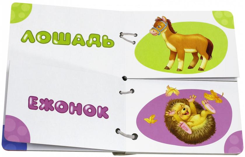 Книжка Найди половинки. Мамы и детки