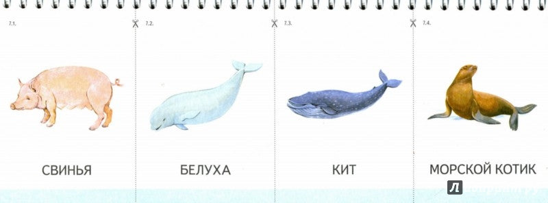 Картинки на пружинке. Дидактический материал по развитию логического мышления и связной речи у детей. Выпуск №2. Мир животных.